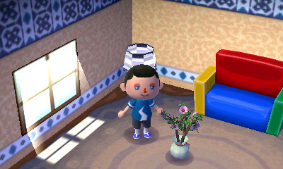 ���������꡼ No.004�Υ���ͥ������ / �֤ȤӤ��� �ɤ��֤Ĥο��ס��ɲ��ۿ������ƥ���ۿ��������塼�뤬�����ˡ��˥�ƥ�ɡ�3DS���ơ������ˤ����̥����ƥब�о��