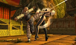 ꡼ No.019Υͥ / DOA Championsפ⻲˥ƥɡ3DSDEAD OR ALIVE Dimensionsץƥȥݡ