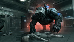 ꡼ No.006Υͥ / TGS 2010ϥ˥֡Ρ֥ޥɥåפǡ¾ͤΤüʤƷڤǤޤ