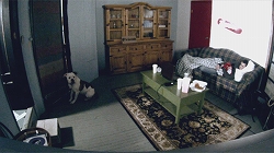 画像ギャラリー No.004のサムネイル画像 / 「マインドジャック」公式サイトで実写ムービー第1弾公開。ナーカス社の研究員が飼い犬をマインドハックするも,思わぬ問題点が発覚