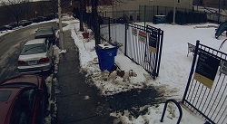 画像ギャラリー No.007のサムネイル画像 / 「マインドジャック」公式サイトで実写ムービー第1弾公開。ナーカス社の研究員が飼い犬をマインドハックするも,思わぬ問題点が発覚