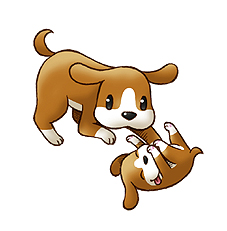 ꡼ No.007 | 5000̾ʤΤǵޤϿ򡣥ޡ٥饹󥿡ƥȡ֥饦֤ߤʤҾʪפΥɦ¥ƥȤ1300˳