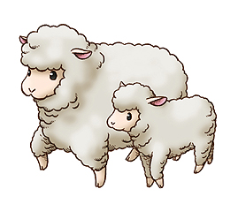 ꡼ No.008 | 5000̾ʤΤǵޤϿ򡣥ޡ٥饹󥿡ƥȡ֥饦֤ߤʤҾʪפΥɦ¥ƥȤ1300˳