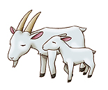 ꡼ No.014 | 5000̾ʤΤǵޤϿ򡣥ޡ٥饹󥿡ƥȡ֥饦֤ߤʤҾʪפΥɦ¥ƥȤ1300˳