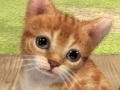 3DSの立体表示で，あの名作はどう生まれ変わるのか。「ゼルダの伝説 時のオカリナ 3D（仮称）」「nintendogs + cats」「どうぶつの森（仮称）」レポート