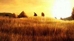 ꡼ No.032 | E3 2010ϥɥĤΡgamigo AGɥ֡ǡΡWitcherפ١ˤʤä֥饦ȯ