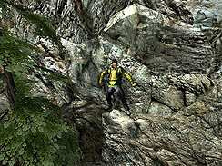 ꡼ No.003Υͥ / E3 2010ϥХХꥹȤȤƤΥߤǽ Crave Games͵ƥȤΥ١ˤMan vs. WildפŸ