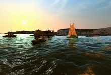 ꡼ No.028 | ֥åץߥ졼 ȥ꡼ॺȯ䡣꡼ǿοʲ֤ץ⡼ࡼӡǳǧ褦