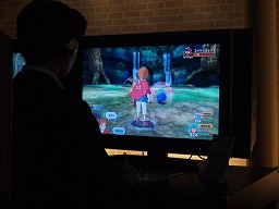 ꡼ No.002 | TGS 2010ĥåˤĤʤ顤DSǡPS3ǡιפͷƥȡȥХå餪