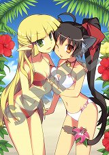 ꡼ No.006Υͥ / ַˡȳرΡ3ס²ͽŵ饹Ȥ