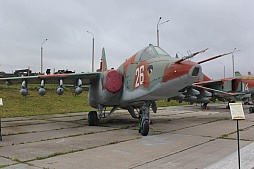 ꡼ No.028 | ѥĥեߥ󥹥ǳŤ줿Wargaming.netǰ٥Ȥ̥ࡼӡʡưIIIͷˤΥࡼӡʤɤ碌ƷǺ