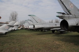 ꡼ No.029 | ڤȲ롤ݡɷʪۥץ쥹ĥ֤˾ߡȥѥĥϥɤθƤ