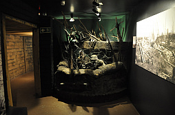 ꡼ No.033 | WargamingCEOVictor Kyslyi˥󥿥ӥ塼ܡӥȥʪۤ̾Ÿͤ̿¿ǤϤ