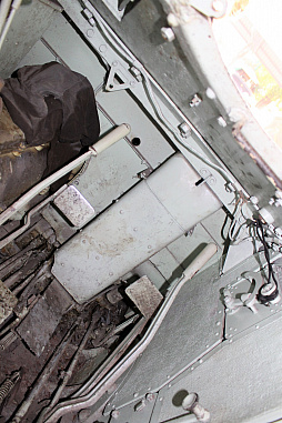 ꡼ No.034 | ޼֥Ϲ強ưˤʤɵŤŸʪ륿ηϡAdisorn Campץݡ