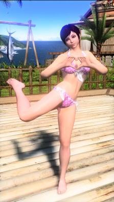 ꡼ No.002 | VF5κǽĤ˴֥Сե5 եʥ륷硼סTwitterϢưǽܤƯ