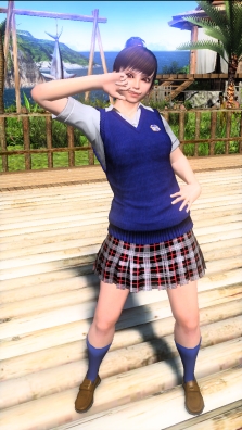 ꡼ No.003 | VF5κǽĤ˴֥Сե5 եʥ륷硼סTwitterϢưǽܤƯ