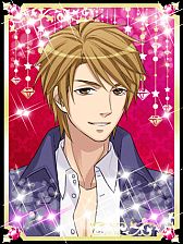 ꡼ No.004Υͥ / ۸ΤSLGˡ󥢥˾סGREE  Platformۿ