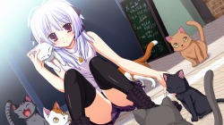 ꡼ No.038Υͥ / Ф椤Ľդȷ֤襤Fortissimo//Akkord:Bsusvierפ˨ǳȥޥۥĥɤΥХȥLa'crymaADV