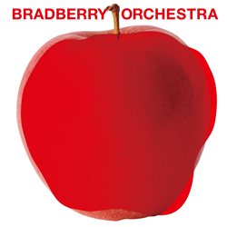 画像ギャラリー No.003のサムネイル画像 / 「龍が如く」の音楽を担当するBRADBERRY ORCHESTRAが6月15日ニコ生に