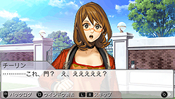 ꡼ No.011Υͥ / ȥ͡ɤοϤʤȥ⡼դȥǥ󥯡ܥåȥॷ꡼ǿ֥͡ϡ פ2010ǯ1028ȯ