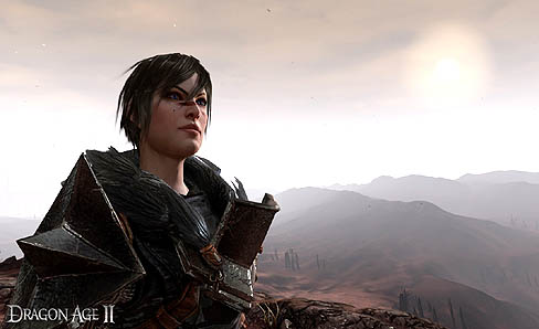 ���������꡼ No.002�Υ���ͥ������ / ��Dragon Age 2�ס�����Υ����֥ǡ����򥤥�ݡ��Ȥ��뤳�Ȥǡ������������Τ����������Ƥ��륲���ॷ���ƥब���餫��