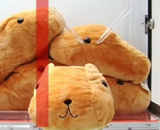 画像ギャラリー No.024のサムネイル画像 / 「第1回みんなのクレーンゲーム選手権」レポート。すぐに役立つ(?)選手達の華麗なテクニックをチェック