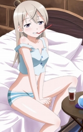 ꡼ No.003 | NDS֥ȥ饤å2DXѥåƱå