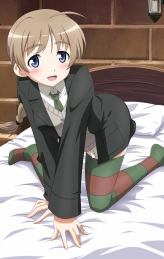 ꡼ No.005 | NDS֥ȥ饤å2DXѥåƱå