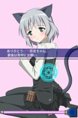 ꡼ No.011 | NDS֥ȥ饤å2DXѥåƱå