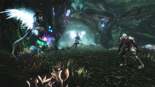 ꡼ No.006 | ֥󥰥ॺ  ޥ顼쥳˥󥰡סɤɡդߤˤ¶92ۿ