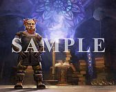 ꡼ No.007 | ֥󥰥ॺ  ޥ顼쥳˥󥰡סPCѥꥸʥɻ13郎ۿ