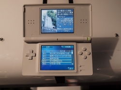 ꡼ No.009 | TGS 2010ϿͤȤ嫤򶯤ʤ顤Ѥܤưƥ⥲ॹְݿ ζץץ쥤ݡ