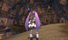 ꡼ No.008Υͥ / ֥ƥ ȡץץ쥪ץ¥ƥȤ1800»ܡƥѥ饤Ȥԥɤ