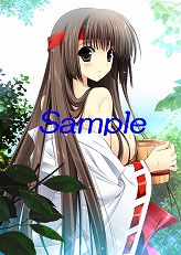 ꡼ No.004 | ֥եȥ֥쥤סʿҤΥեդŹŵ