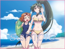 ���������꡼ No.012�Υ���ͥ������ / �֥��륫�ʥϡ���3�סȥϡ��ȥե�PV����2�Ƥ���������1�Ƥ˰���³������ǵ�Ϥ��Ȥ����٤ϡ֥ͥåȥ���⡼�ɡפˤĤ��ƾҲ𤷤��㤦�衪