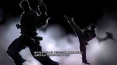 ꡼ No.020Υͥ / STREET FIGHTER X Ŵ׸åΥץҲVol.3ˡϥȤɻˤࡼӡƥ4å