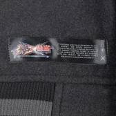 画像ギャラリー No.010のサムネイル画像 / 「STREET FIGHTER X 鉄拳」デザインのスタジアムジャンパーが発売に