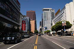 ꡼ No.006Υͥ / SIGGRAPHCGȥСꥢƥѤγزSIGGRAPH 2010׳