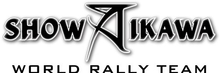 ꡼ No.003Υͥ / ˥ưͥˡDiRT 3סߡROAD TO DREAM  Ƥץܥͥ뤬ץ