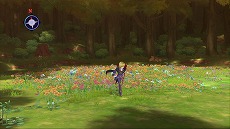 ꡼ No.014Υͥ / ͷӿܤDLC¿֥ƥ륺  쥤 աסȥɥɤȽ鲻ߥɡȥȥɤʤɤΥܰۿ餫