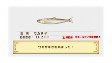 ꡼ No.020Υͥ / ֥㥤˥󥰡ϡġסƤŴγ±ġ֥Х󥫡פơ͵դˤ¸ߤ餫