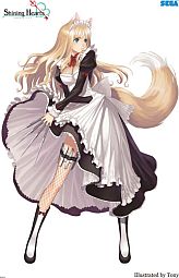 ꡼ No.003Υͥ / ƥ80ǤΡ֥ץ֡侦ʤ֥㥤˥󥰡ץåʤ¿