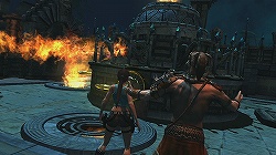 ꡼ No.005Υͥ / ֽƤΥ顦եȡפ˺Ŭܤΰõɥ٥㡼֥顦ե  ǥ  饤ȡפΥӥ塼ࡼӡǺܡ