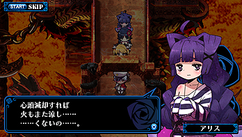 ꡼ No.038Υͥ / 󾯽ãƳܰ쥽եȥPSPѡȾRPGɡ֥ߥʥ륬륺פ1118ȯȥץ