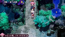 ꡼ No.039Υͥ / ֥ߥʥ륬륺ס4ͤΤ郎ޤ޾ã䡤äƮƥʤɤҲ𡣵ˤʤȤƥɤΰüäȸޤ