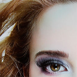 ꡼ No.009 | ʥʥȼĶѡSmart ResolutionפѤ23磻ɱվǥץ쥤ȯɽ