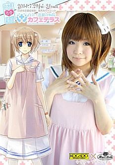 ꡼ No.008 | ɸפᥤɥեȥܡʤɤ̵ۤ