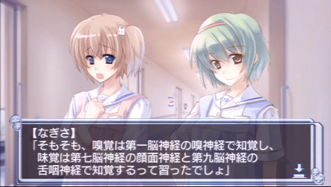 ꡼ No.037 | ӸܳŪѸ˶դŸġĤ뤤ɴ祲Ȼפäְ㤤Ρɸץӥ塼 