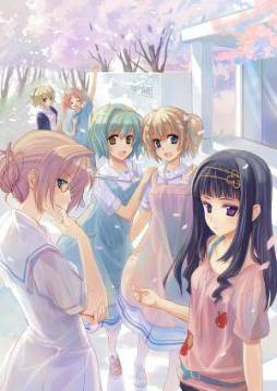 ꡼ No.003Υͥ / ɸפΥ饹ȤϿ929ȯ