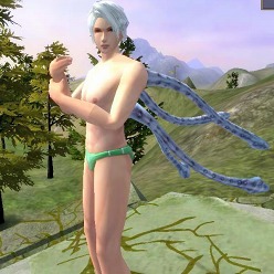 ꡼ No.002Υͥ / SANGOKU CHAOS 񥫥פΥɦ¥ƥ罸ȡ1000̾ʬ4GamerɼȤ